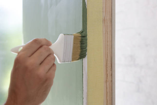 Best Black Mold Removal  in Durand, WI