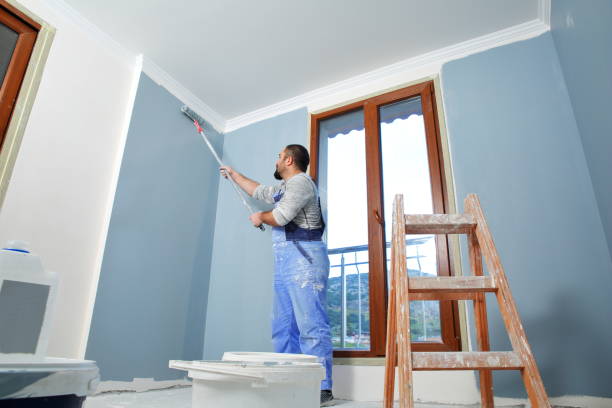 Best Industrial Mold Remediation  in Durand, WI