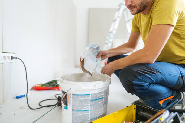 Best Post-Construction Mold Inspection  in Durand, WI
