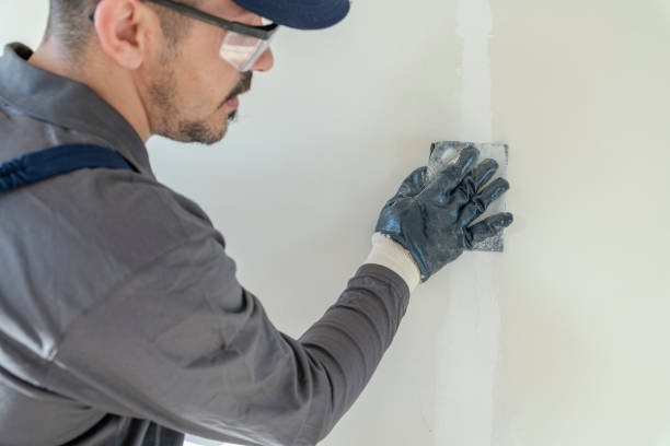 Best Emergency Mold Remediation  in Durand, WI