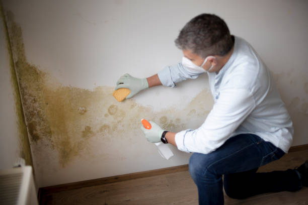 Best Air Quality Testing for Mold Spores  in Durand, WI