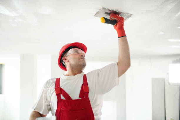 Best Mold Documentation for Insurance Claims  in Durand, WI