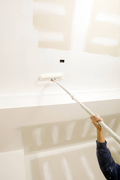 Best Commercial Mold Inspection  in Durand, WI