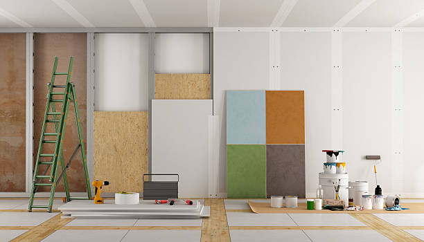 Best Basement Mold Removal  in Durand, WI