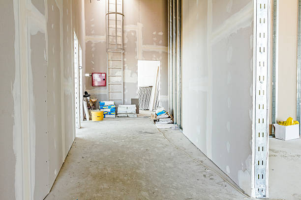 Best Forensic Mold Investigation  in Durand, WI